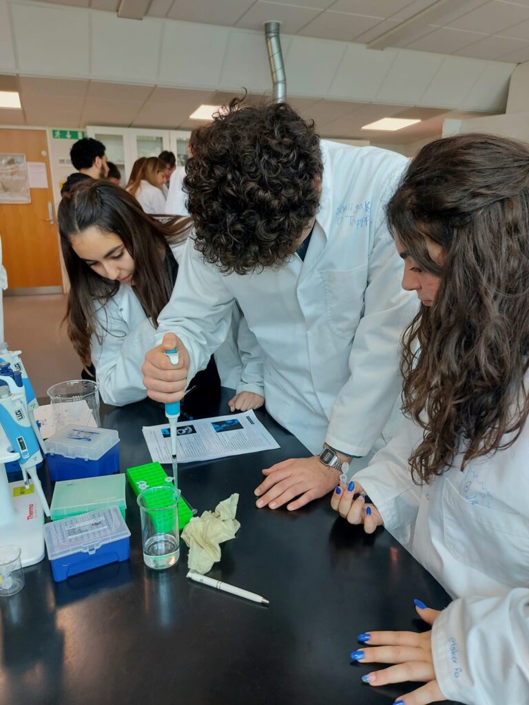 Esperienza di laboratorio. Identificazione di batteri in campioni ambientali mediante sequenziamento del DNA.