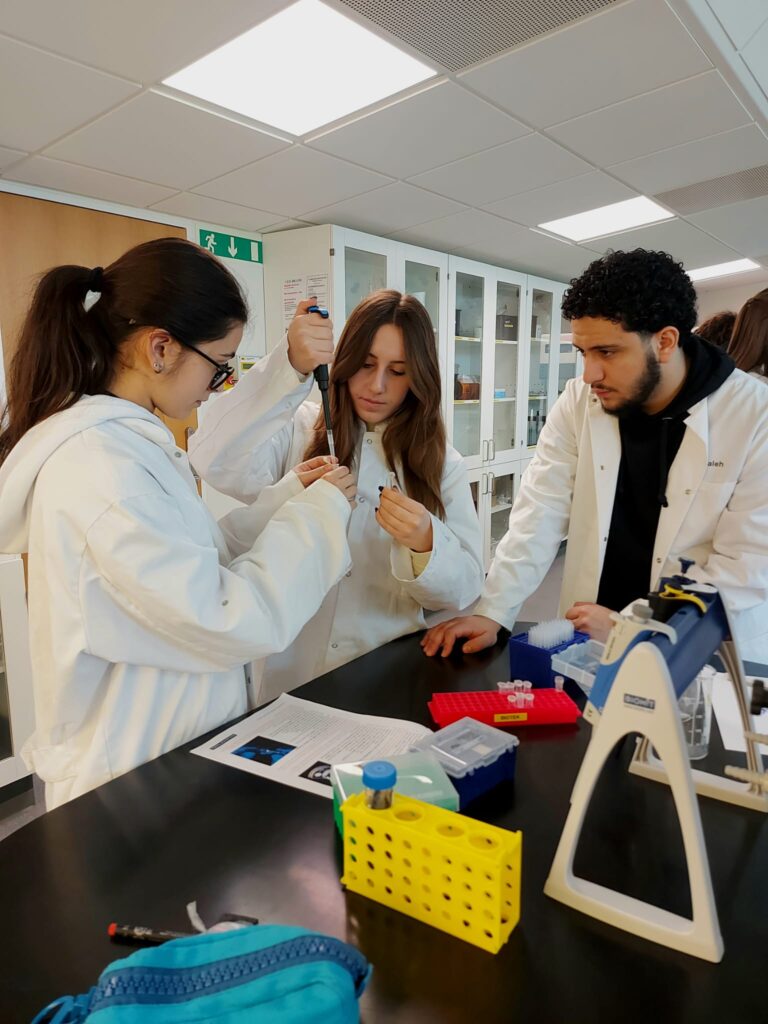 Esperienza di laboratorio. Identificazione di batteri in campioni ambientali mediante sequenziamento del DNA.